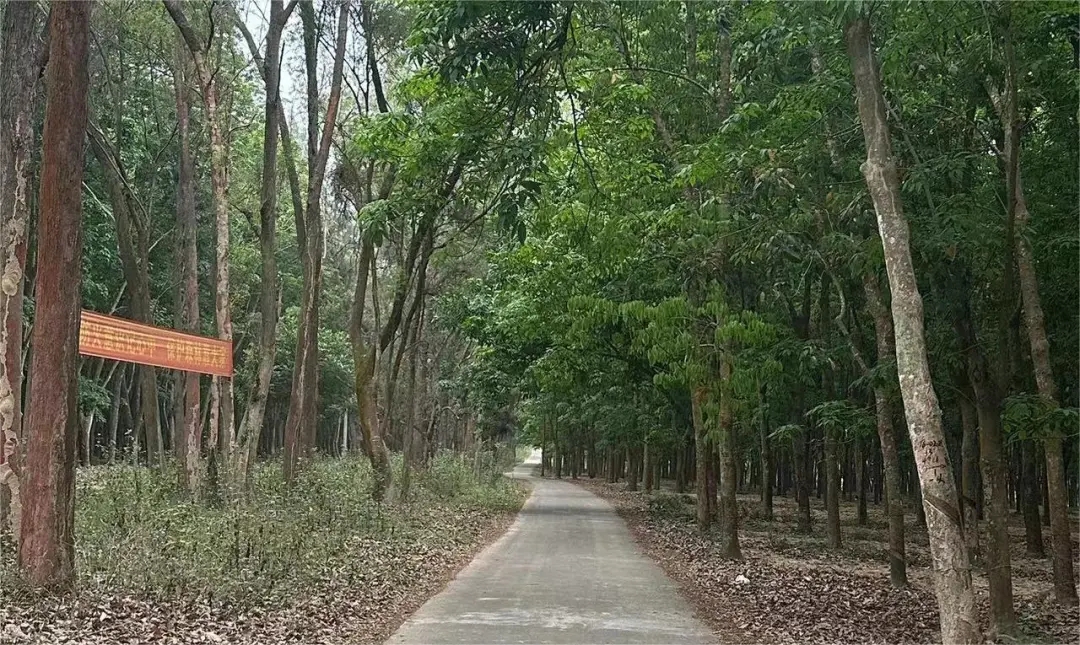 1717729145951016803.jpg 1717729145951016803.jpg