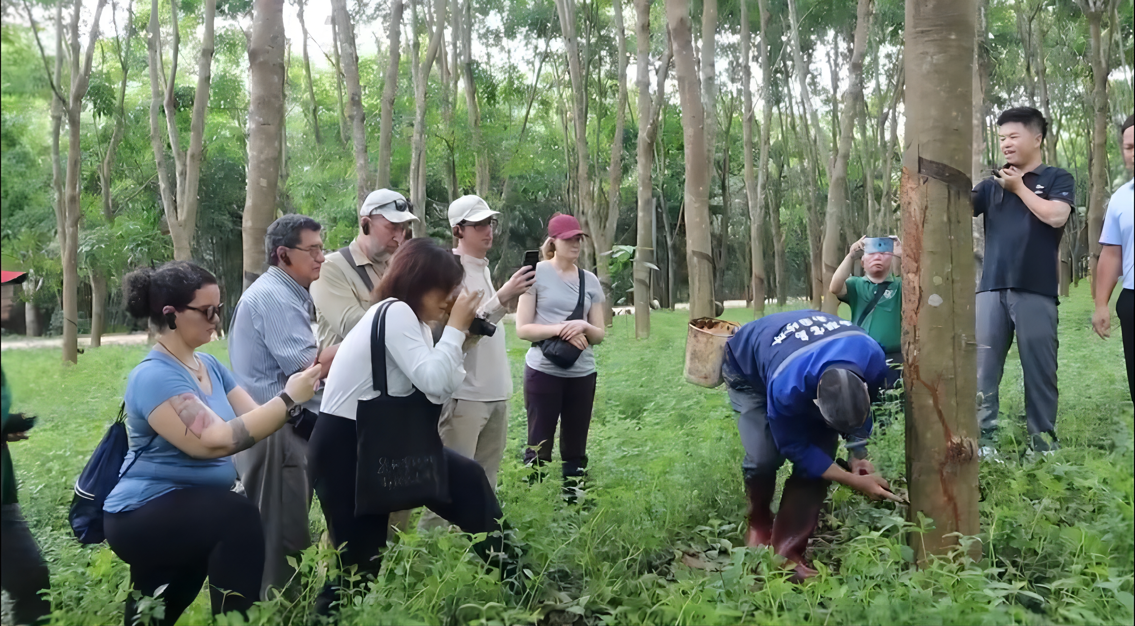 1718188249150007943.jpg 1718188249150007943.jpg