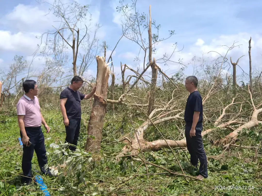 1726196157845008224.jpg 1726196157845008224.jpg