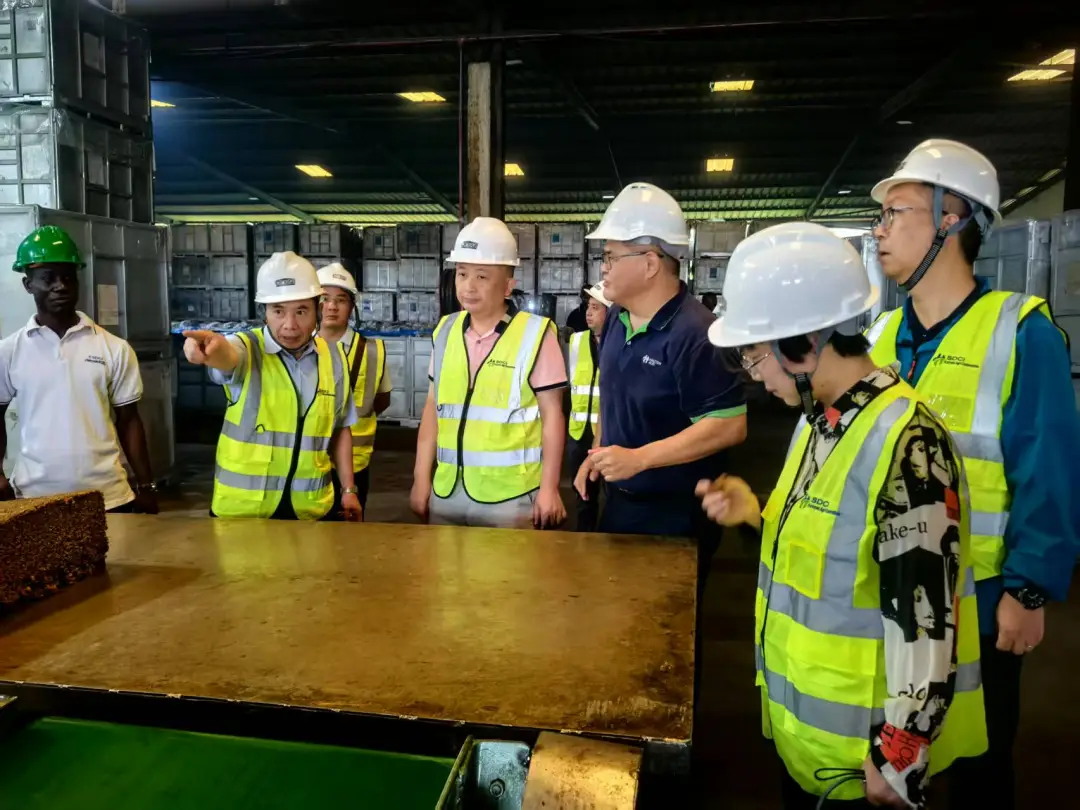 1748177253403052353.jpg 1748177253403052353.jpg